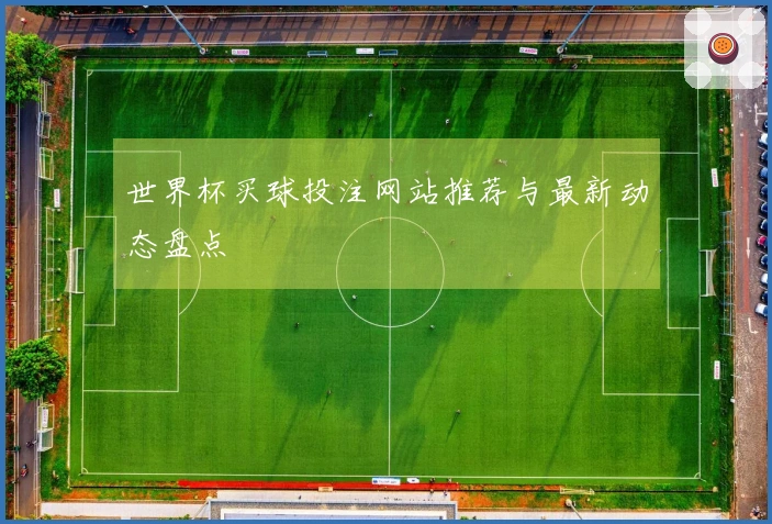 世界杯买球投注网站推荐与最新动态盘点