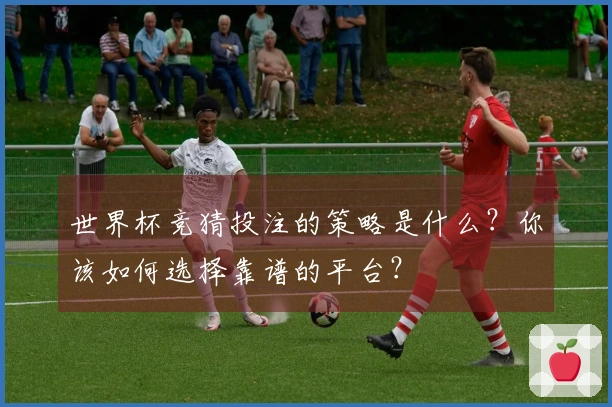 世界杯竞猜投注的策略是什么？你该如何选择靠谱的平台？