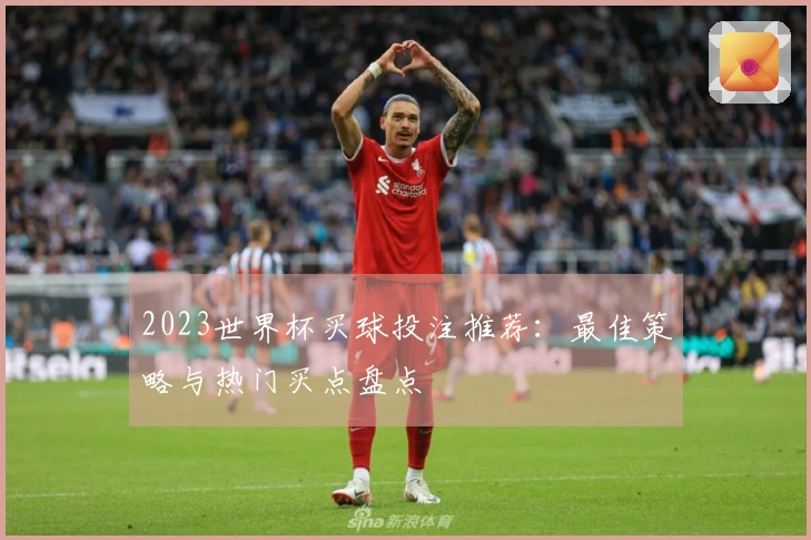2023世界杯买球投注推荐：最佳策略与热门买点盘点
