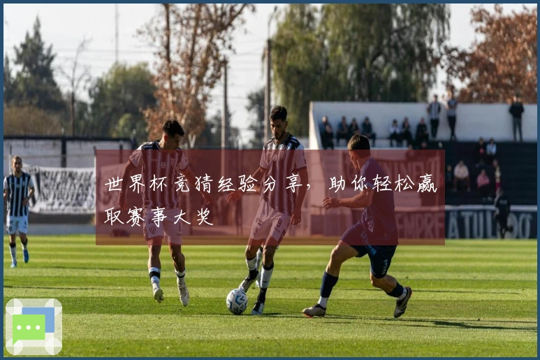 世界杯竞猜经验分享，助你轻松赢取赛事大奖