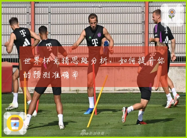 世界杯竞猜思路分析，如何提升你的预测准确率